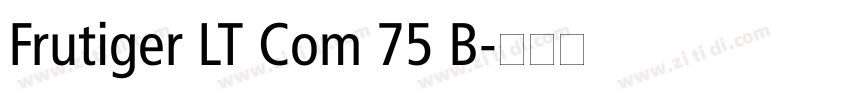 Frutiger LT Com 75 B字体转换